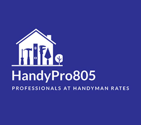 HandyPro805